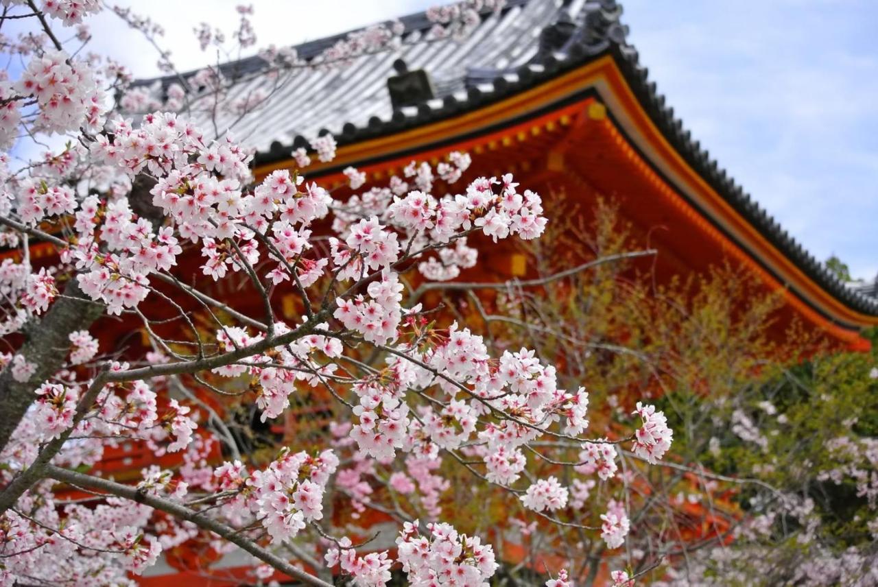 Stay Sakura Kyoto Matsuri Екстериор снимка